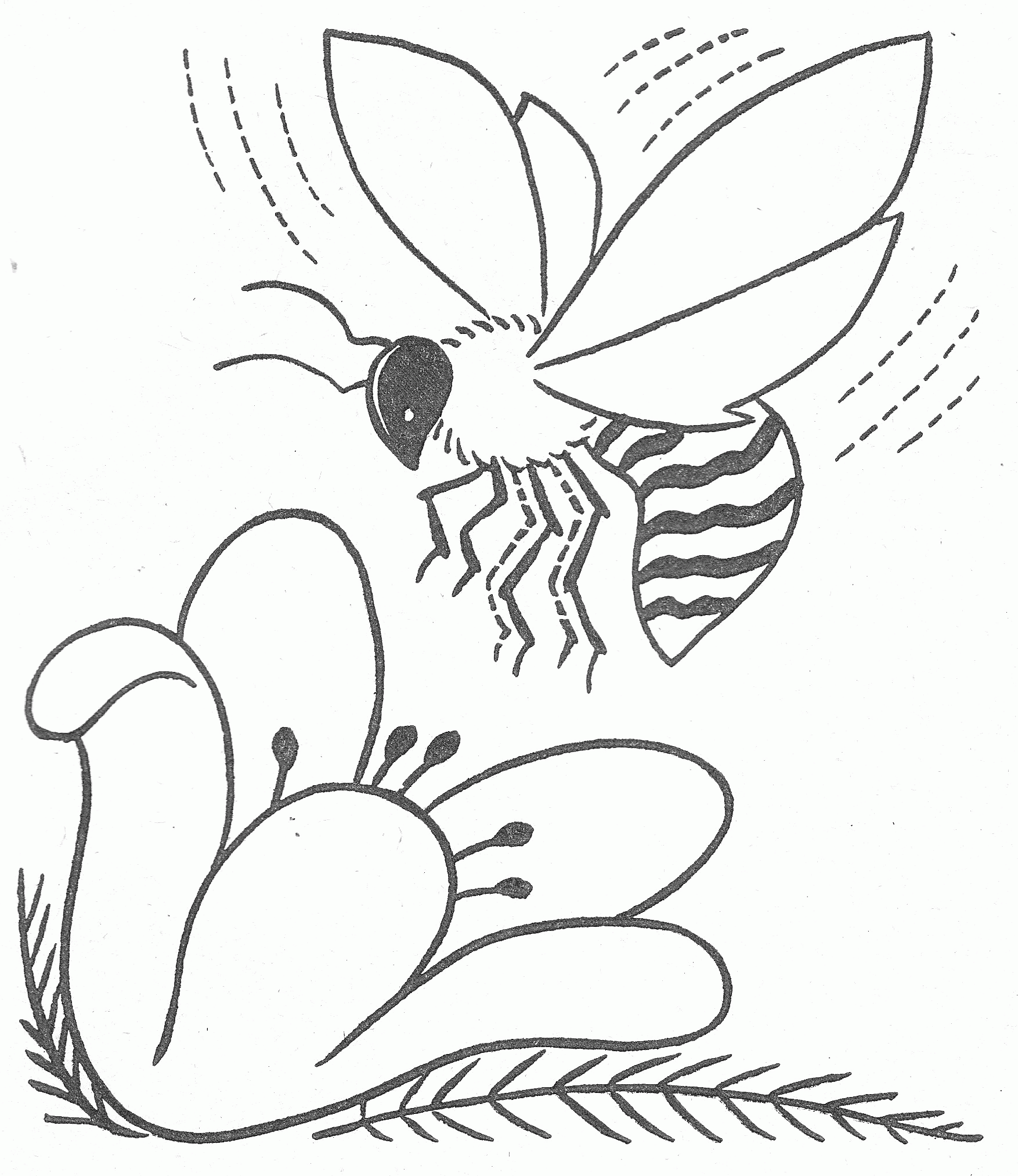 Pszczoły kolorowanki